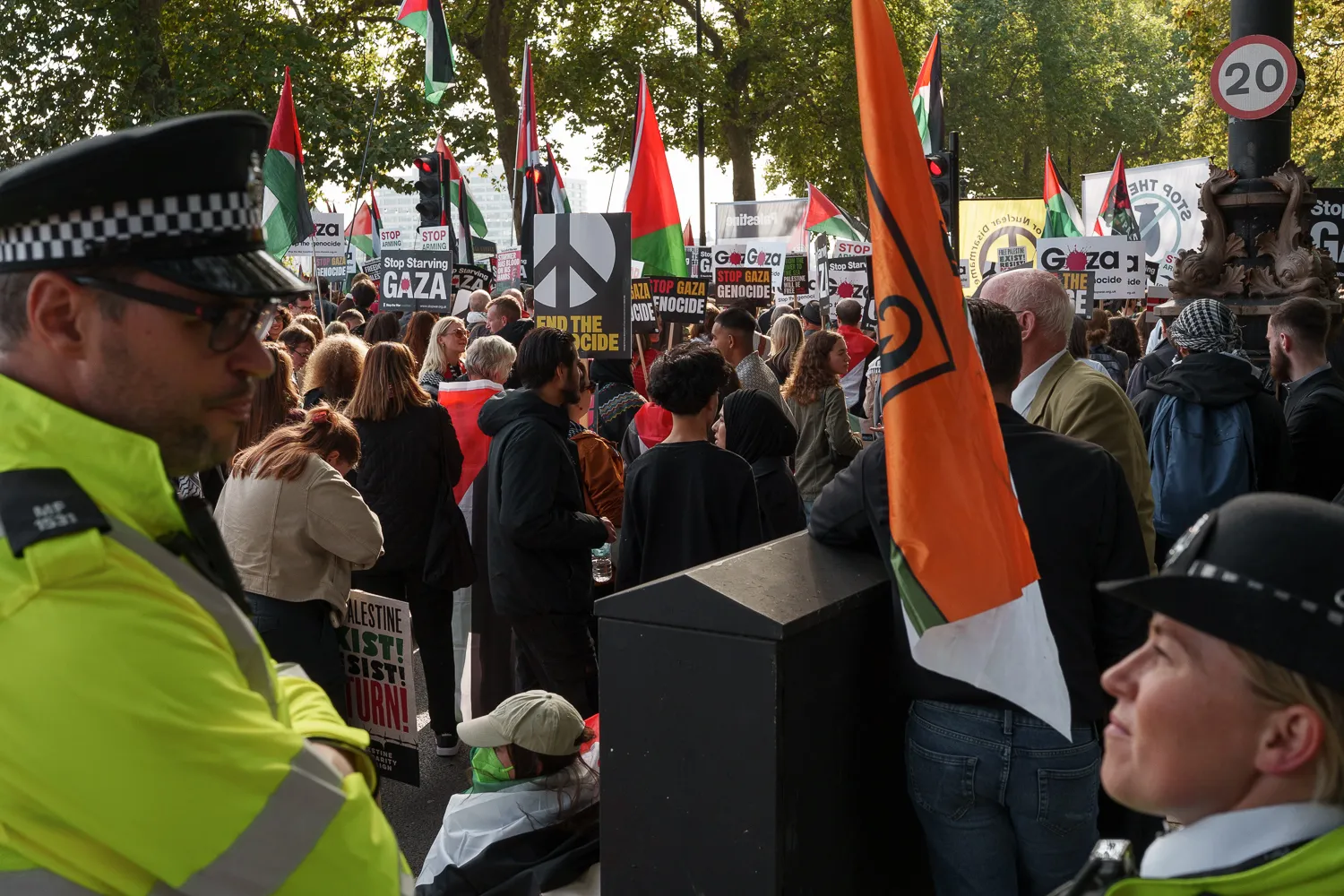 Police officers beside demonstrators carrying Palestinian flags