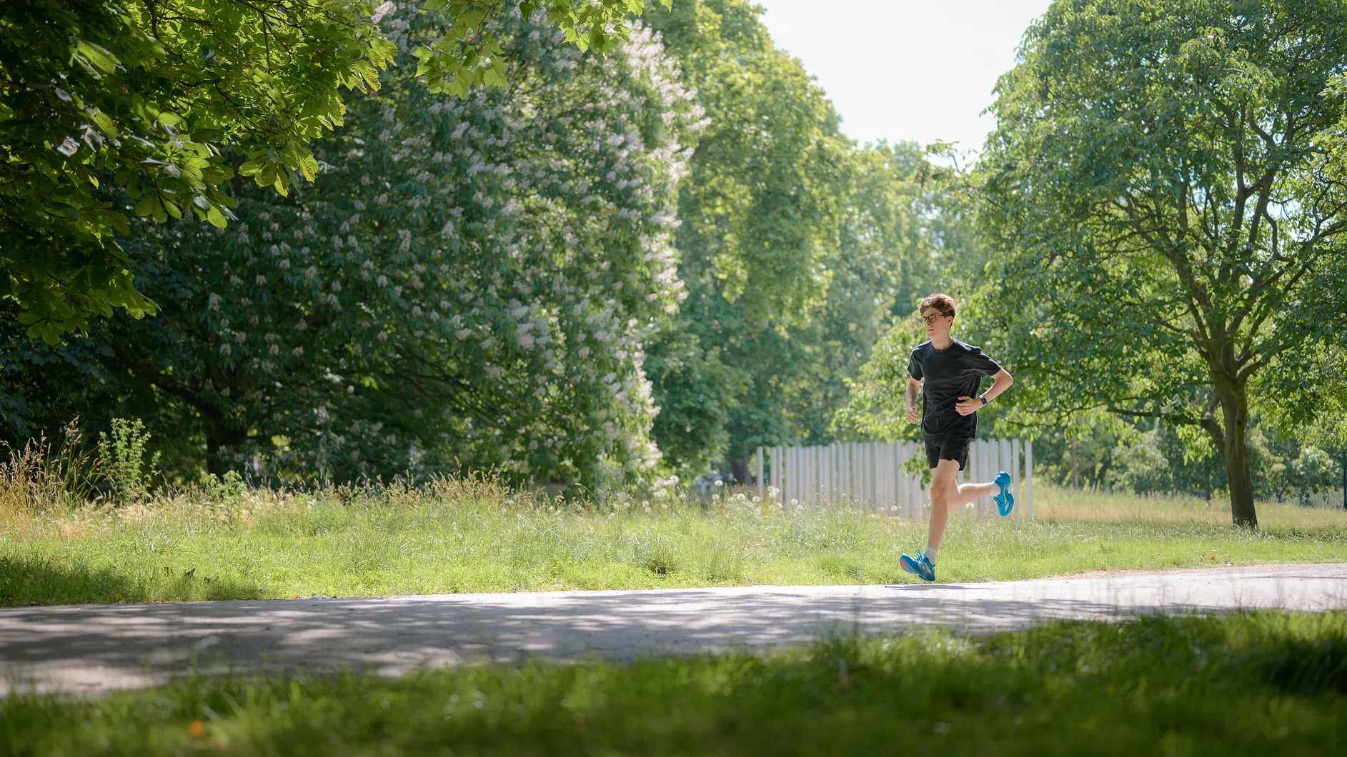adidas Adizero running photographs