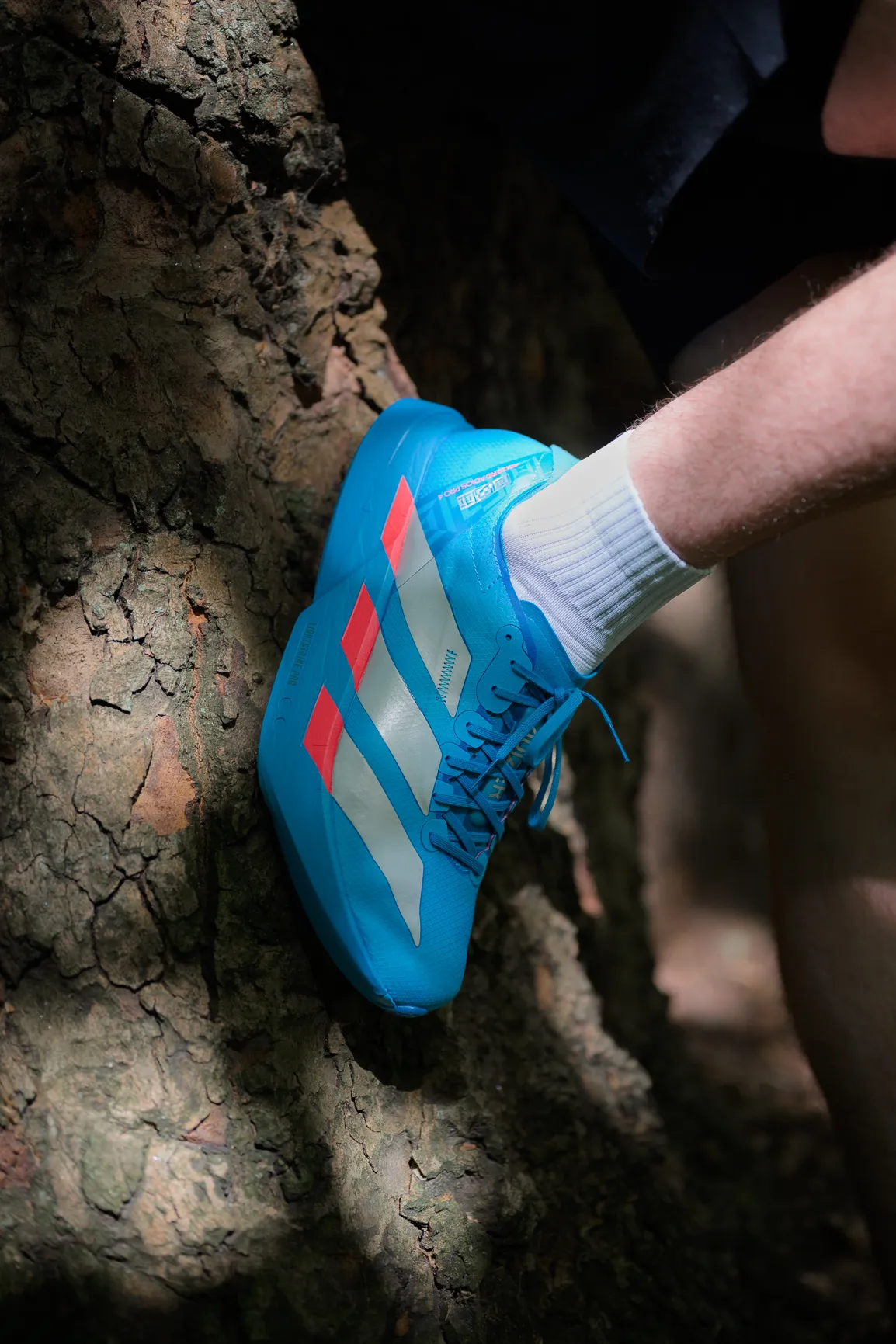 adidas Adizero running photographs
